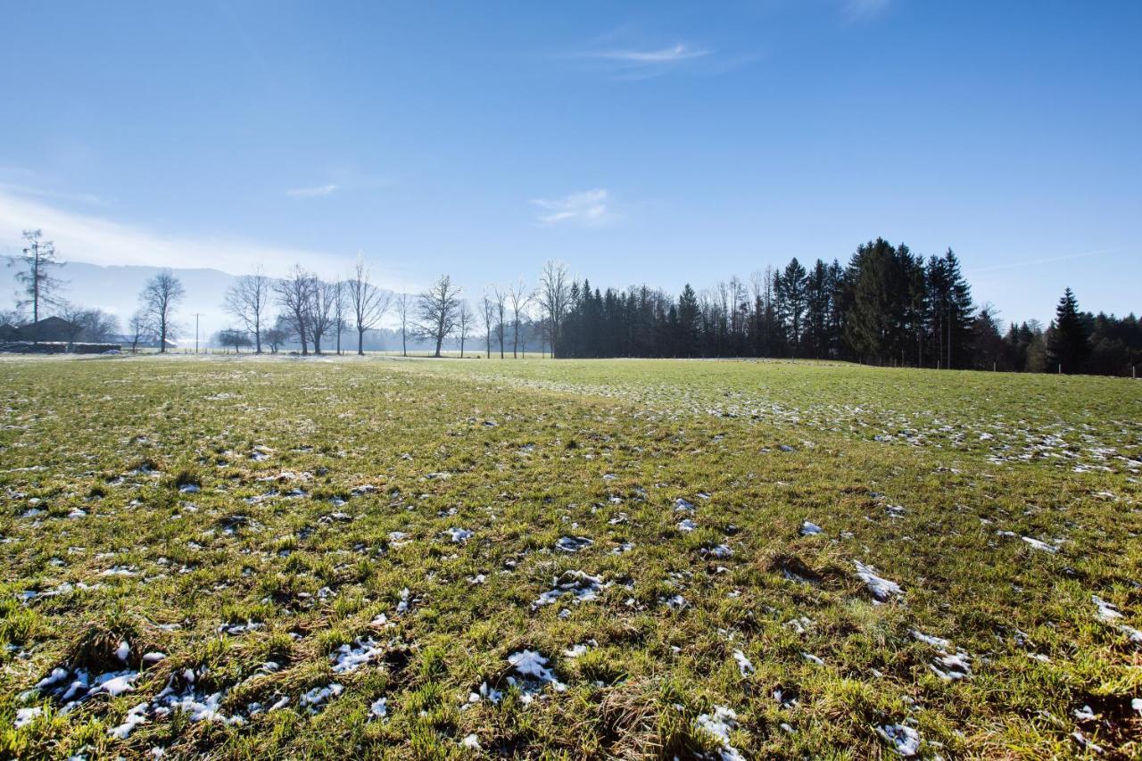 Ribeiro Ninho De Cuco Schoenwald im Schwarzwald